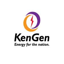 Partner Logo 2
